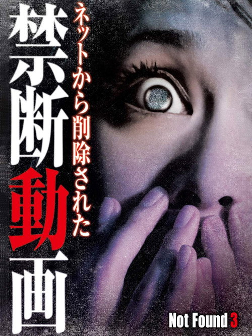 Movie poster for Not Found 3 (2011)