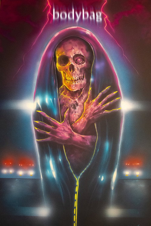 Movie poster for bodybag (2024)