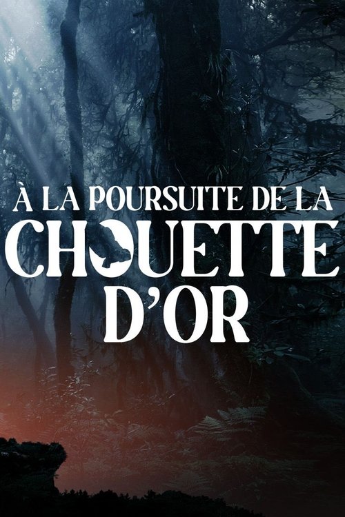 Movie poster for À la poursuite de la chouette d'or (2024)