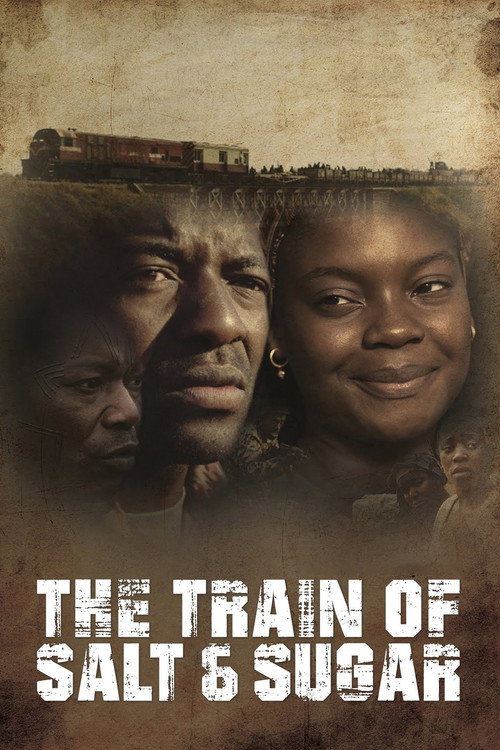Movie poster for The Train of Salt and Sugar (2016)