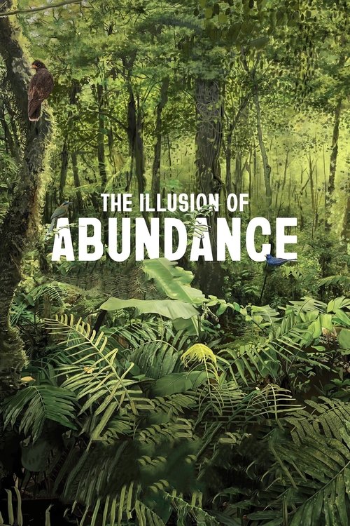 Movie poster for The Illusion of Abundance (2022)