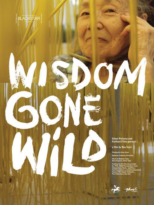 Movie poster for Wisdom Gone Wild (2022)