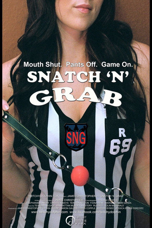 Movie poster for Snatch N Grab (2010)