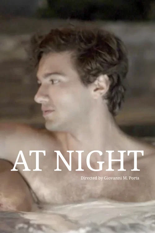 Movie poster for At Night (2017)