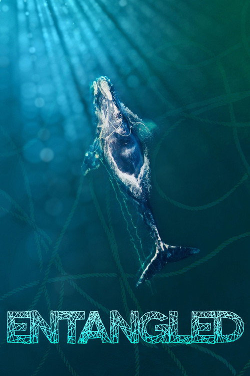 Movie poster for Entangled (2020)