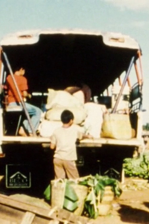 Movie poster for Fragments of a Journey to Laos (2008)