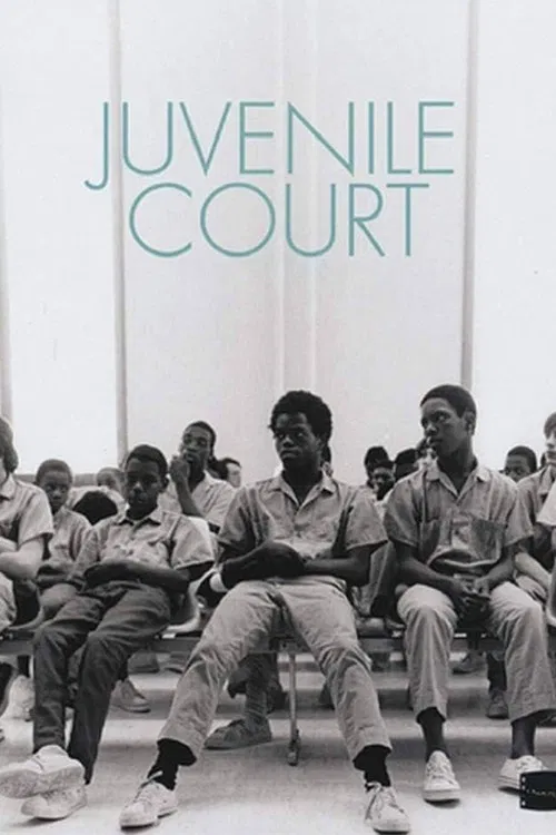 Movie poster for Juvenile Court (1973)
