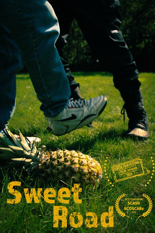 Movie poster for Sweet Road (2025)