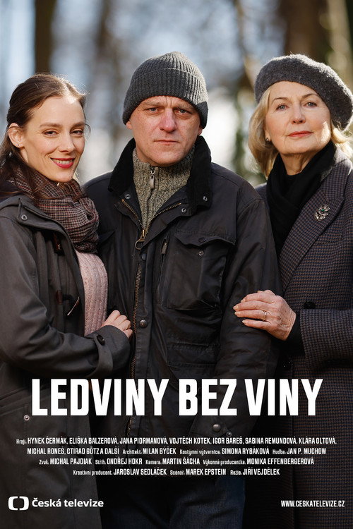 Movie poster for Ledviny bez viny (2022)