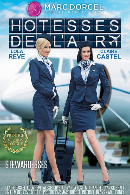 Movie poster for Stewardesses (2015)