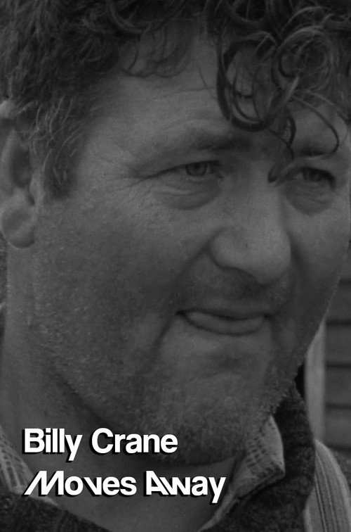 Movie poster for Billy Crane Moves Away (1967)