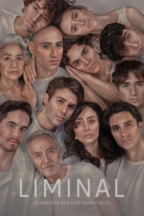 Movie poster for Liminal