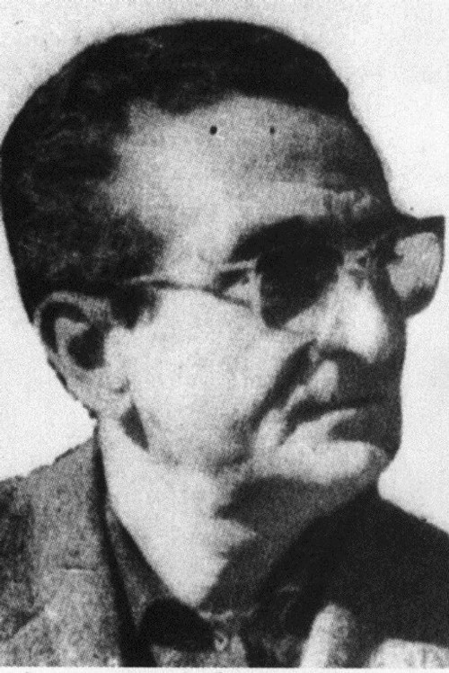 Photo of Ahmad Badrakhan, Directing