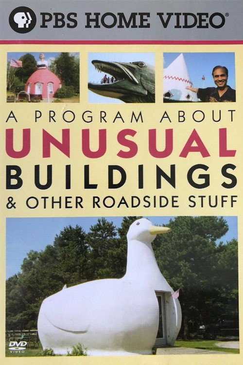 Movie poster for A Program About Unusual Buildings & Other Roadside Stuff (2004)