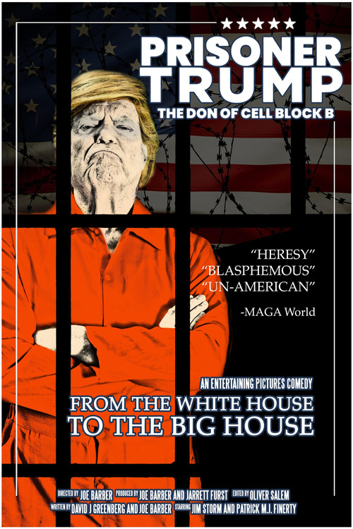 Movie poster for Prisoner Trump: The Don of Cell Block B (2024)