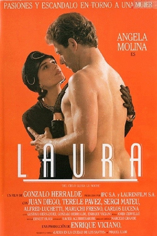 Movie poster for Laura, del cielo llega la noche (1987)