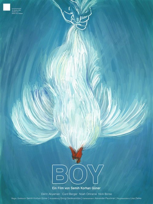 Movie poster for Boy (2018)