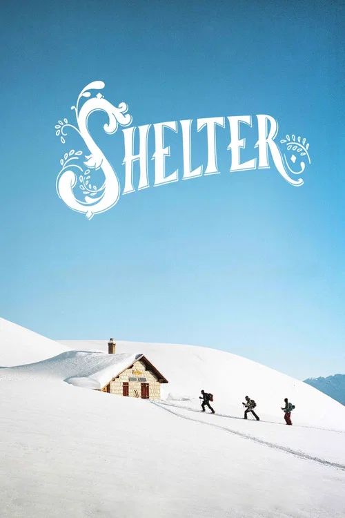 Movie poster for Shelter (2019)