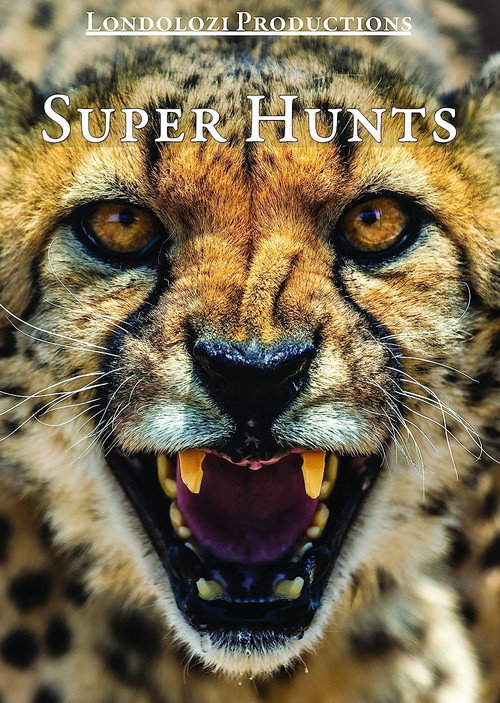 Movie poster for Super Hunts, Super Hunters (1995)