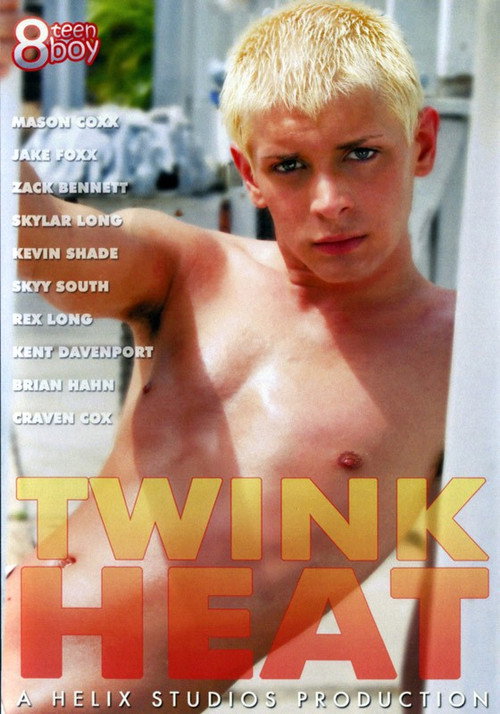 Movie poster for Twink Heat (2005)