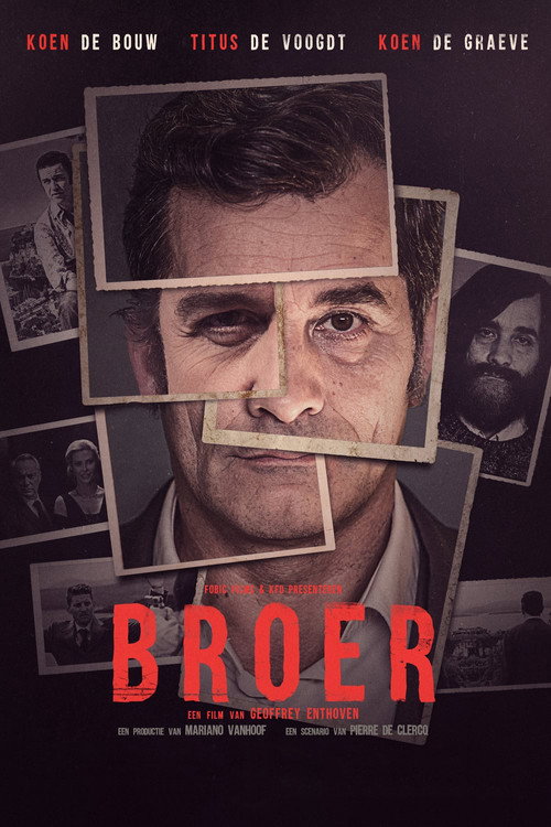 Movie poster for Brother (2016)