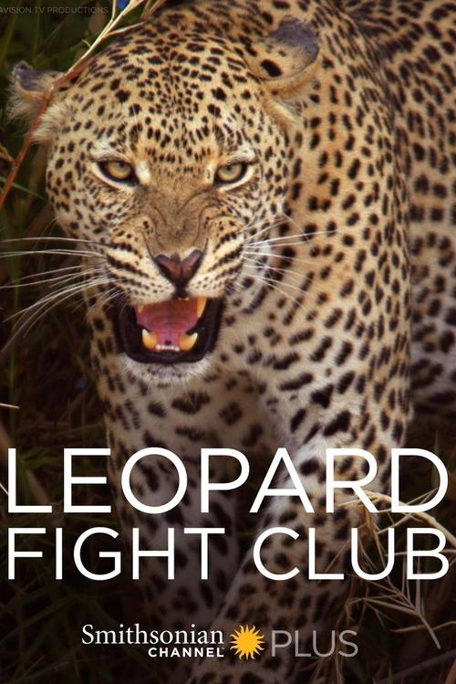 Movie poster for Leopard Fight Club (2013)