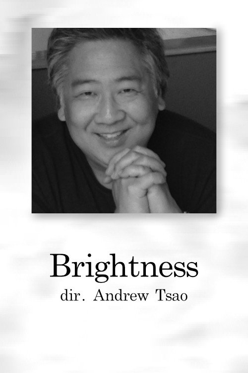 Movie poster for Brightness (2001)