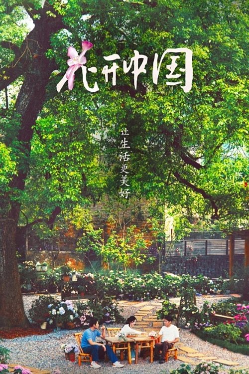 花开中国 poster