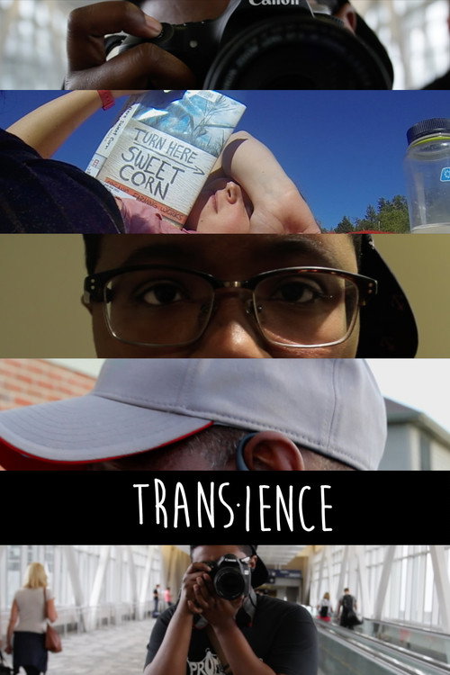 Movie poster for Trans-ience (2015)