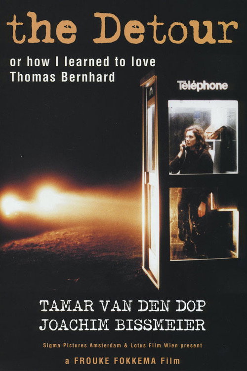 Movie poster for the Detour (2000)