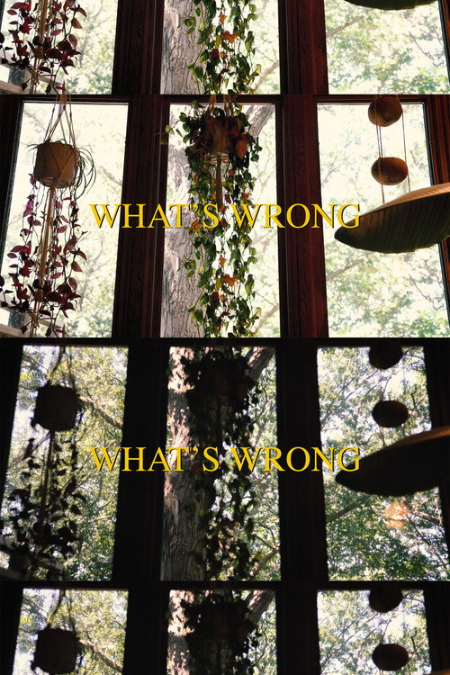 Movie poster for What's Wrong (2023)