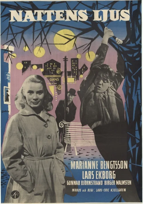 Movie poster for Night Light (1957)
