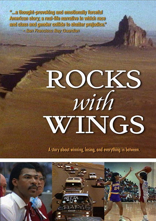 Movie poster for Rocks With Wings (2001)