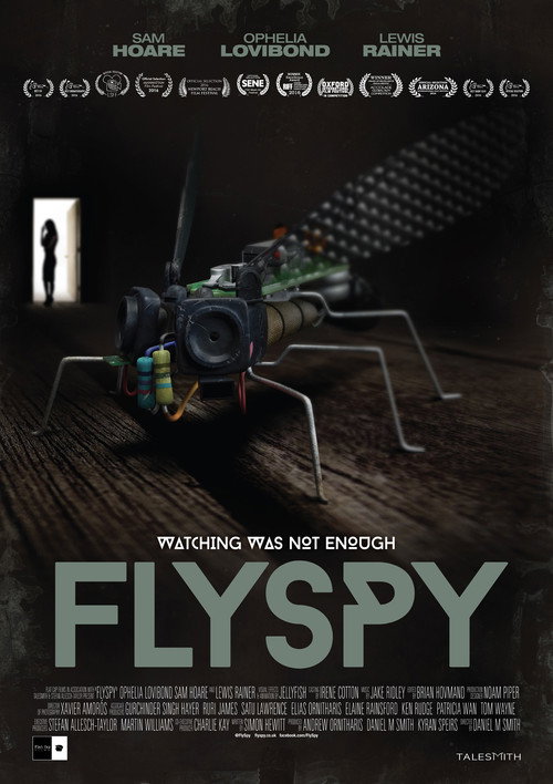 Movie poster for Flyspy (2016)