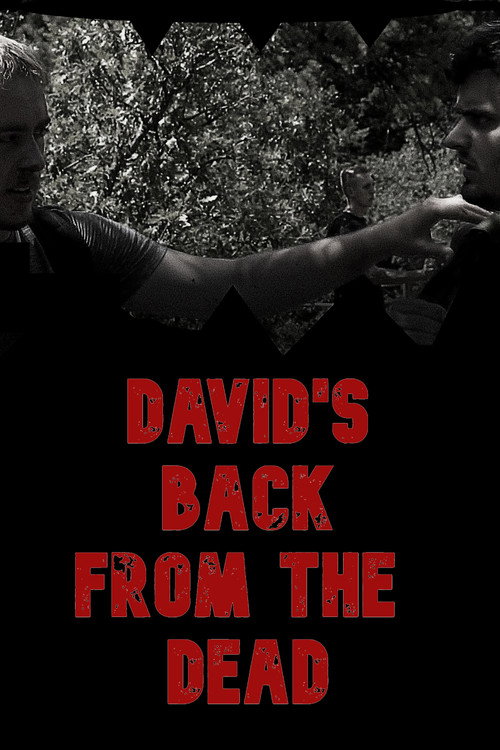Movie poster for David's Back from the Dead (2020)