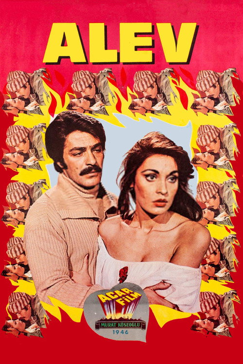Movie poster for Alev (1976)