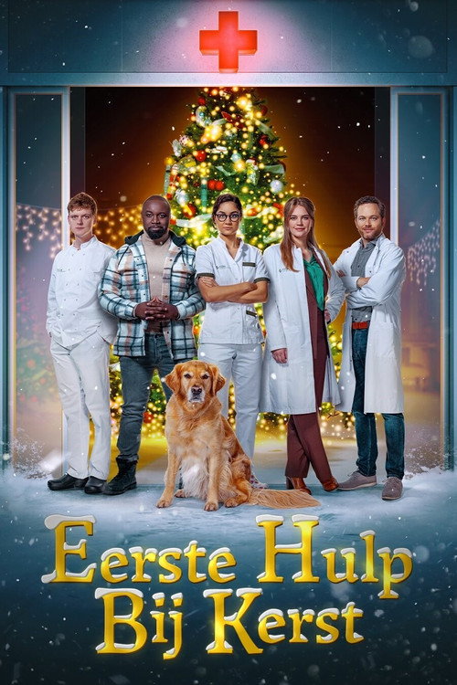 Movie poster for Eerste Hulp Bij Kerst (2023)