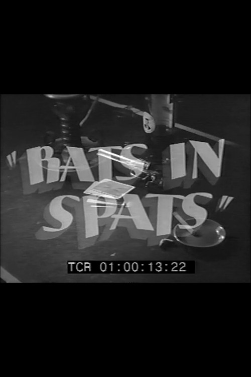 Movie poster for Rats in Spats (1941)