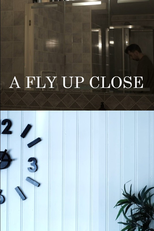 Movie poster for A Fly Up Close (2024)