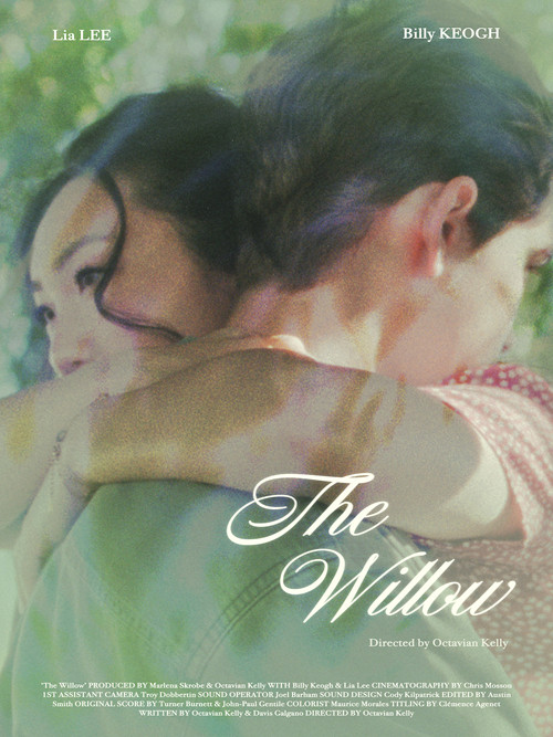 Movie poster for The Willow (2022)