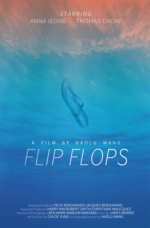 Movie poster for Flip Flops (2015)