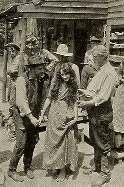 Movie poster for A Virginia Feud (1913)