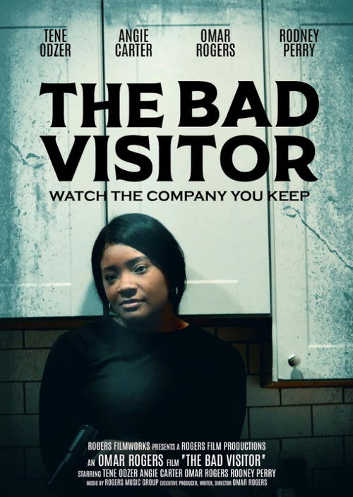 Movie poster for The Bad Visitor