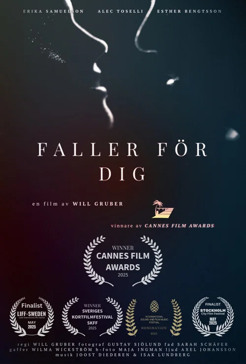 Movie poster for Faller För Dig