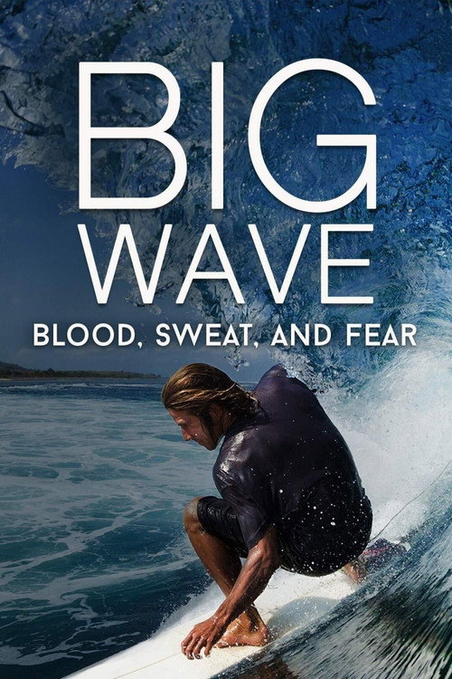 Movie poster for Big Wave: Blood, Sweat, and Fear (2018)