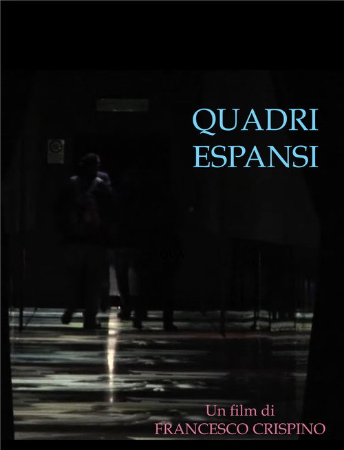 Movie poster for Quadri espansi (2013)