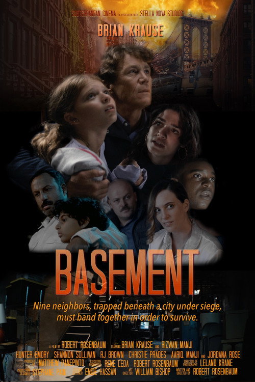 Movie poster for Basement (2022)