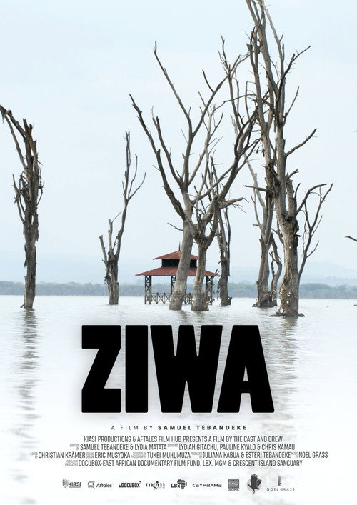 Movie poster for Ziwa (2023)