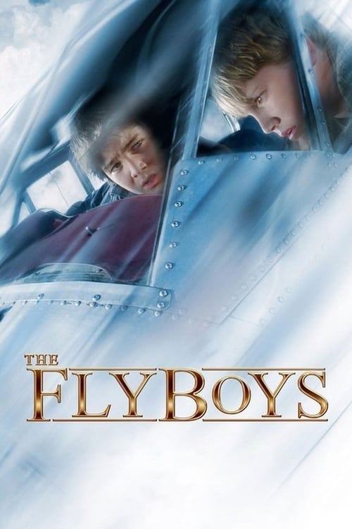 Movie poster for The Flyboys (2008)