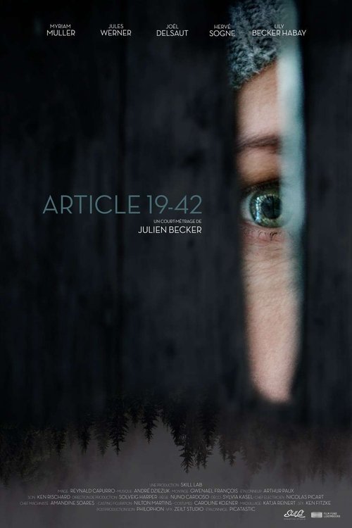 Movie poster for Article 19-42 (2019)